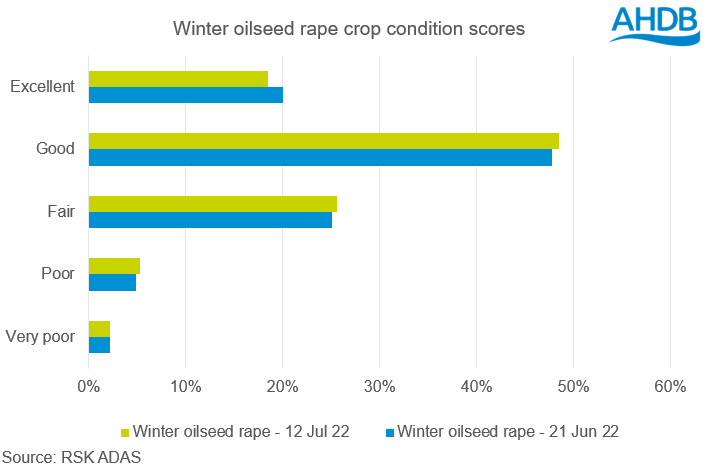 A graph showing the OSR crop condition scores as at 12 July 2022